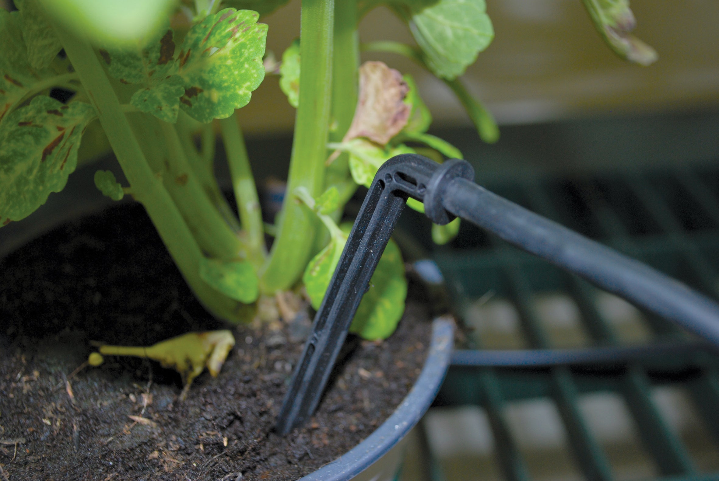 Canopia By Palram Drip Irrigation Kit
