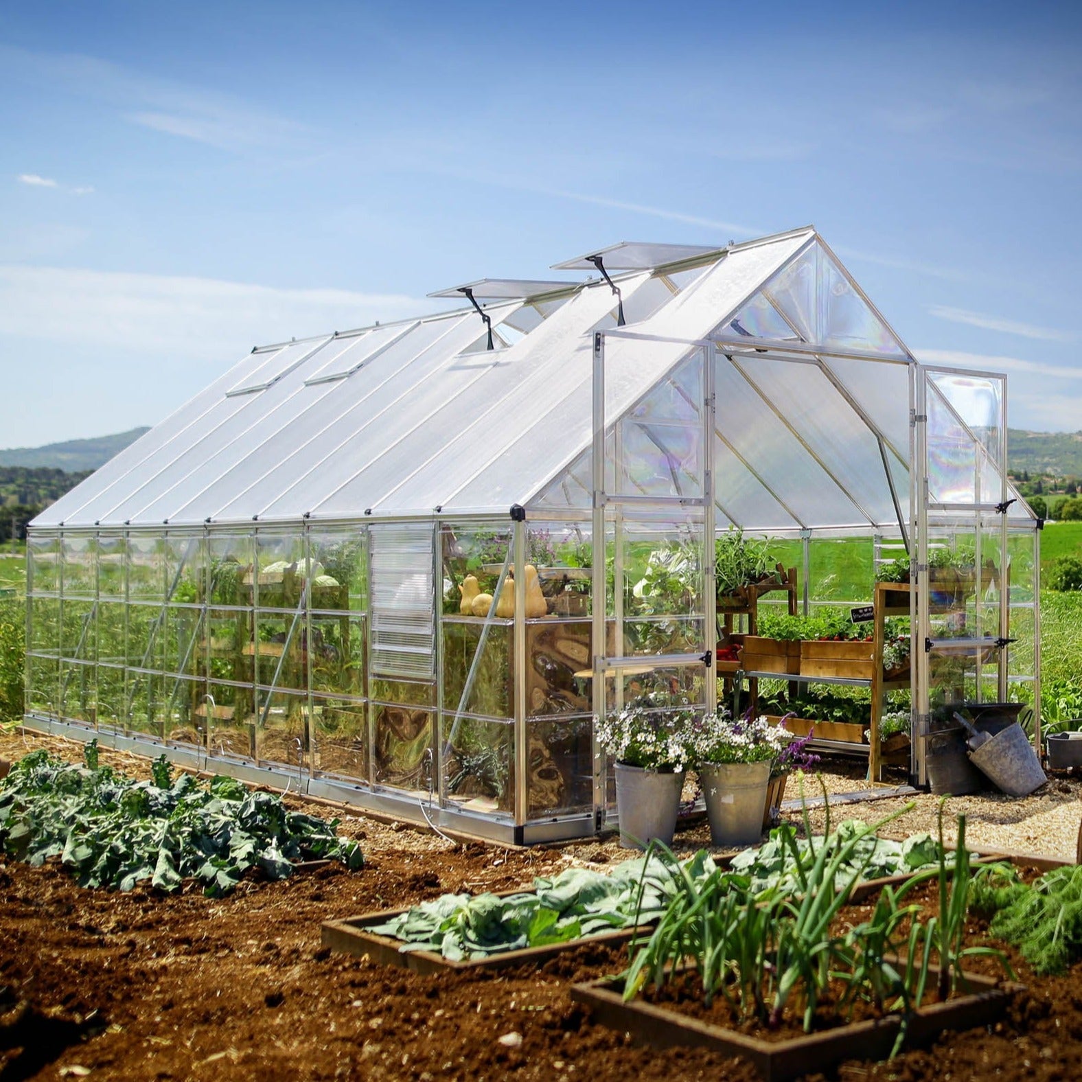 Canopia by Palram Balance Silver Greenhouse