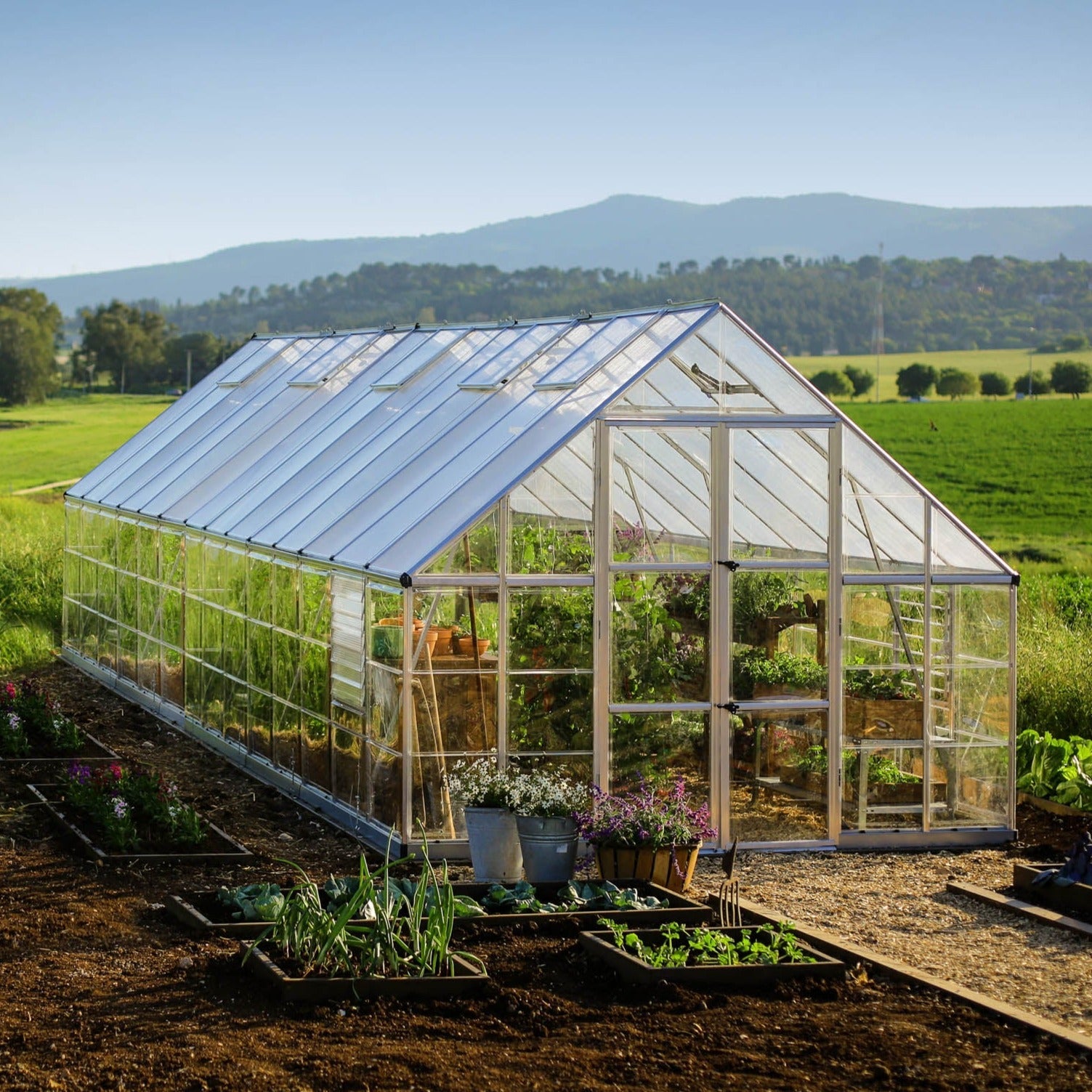 Canopia by Palram Balance Silver Greenhouse