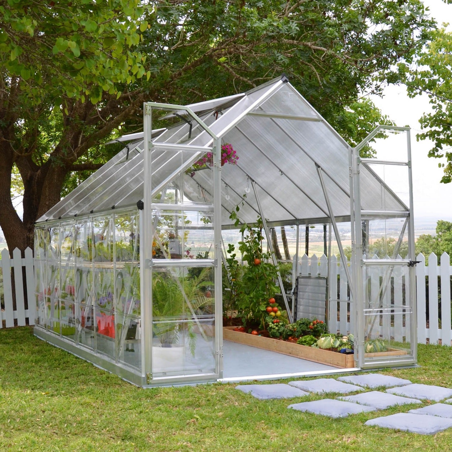 Canopia by Palram Balance Silver Greenhouse