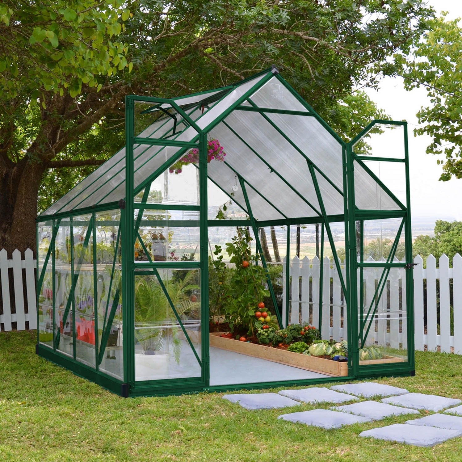 Canopia by Palram Balance Green Greenhouse