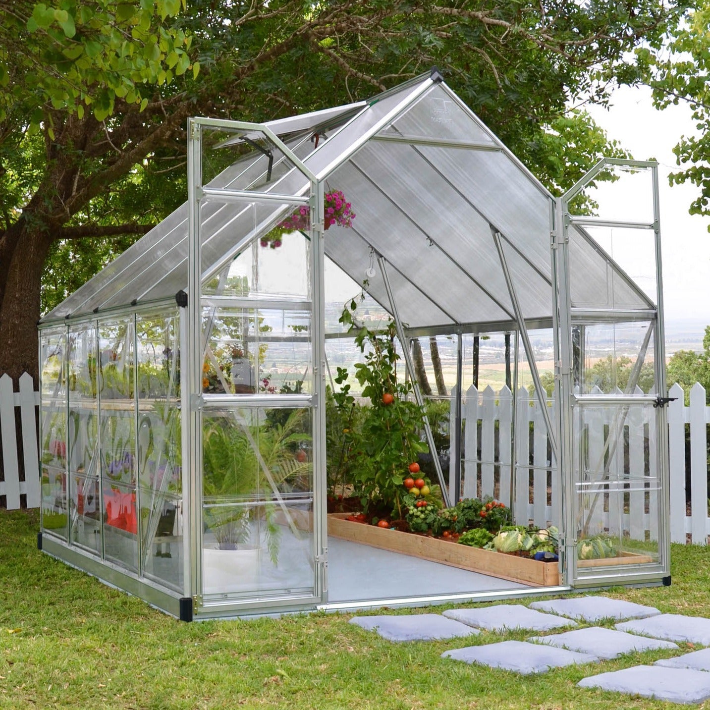 Canopia by Palram Balance Silver Greenhouse
