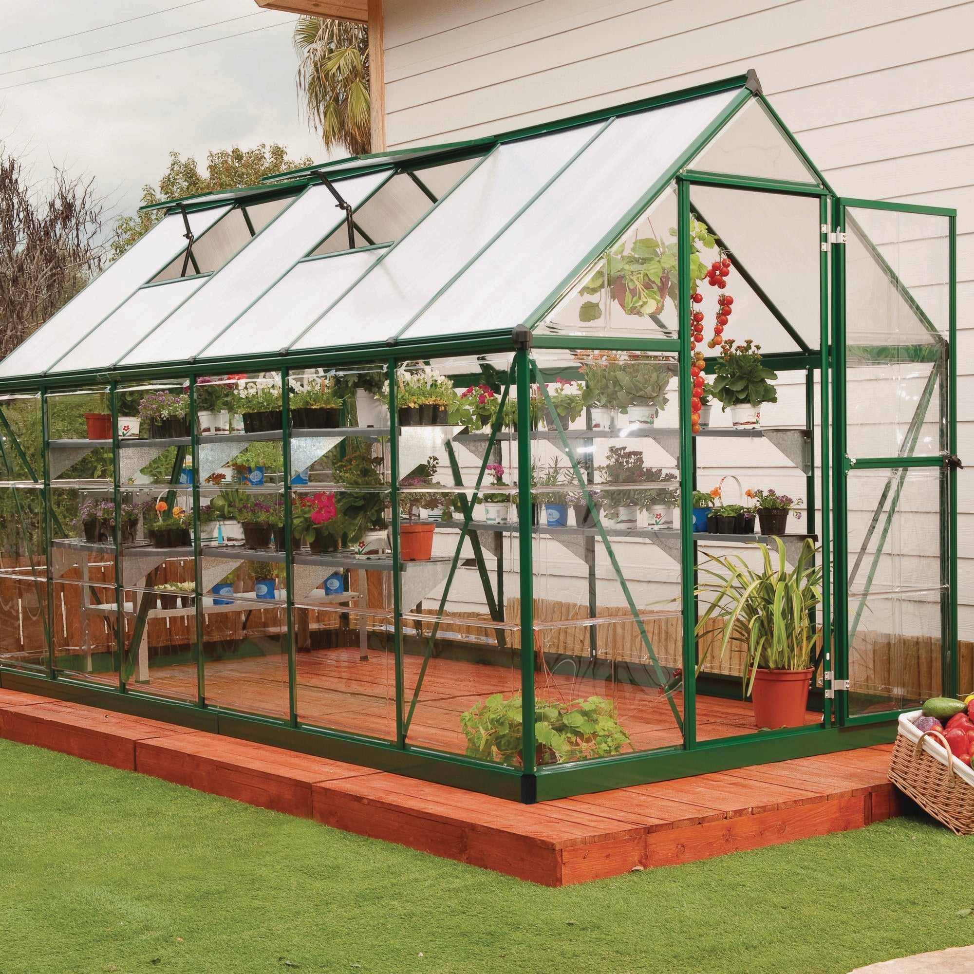 Canopia by Palram Hybrid Greenhouse Green