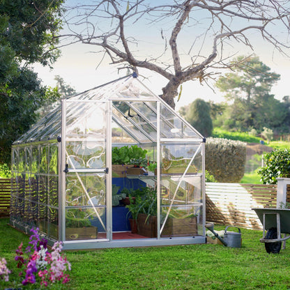 Silver framed greenhouse in a garden