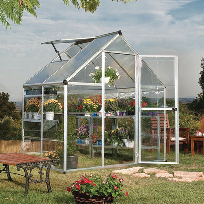 Canopia by Palram Hybrid Greenhouse Silver